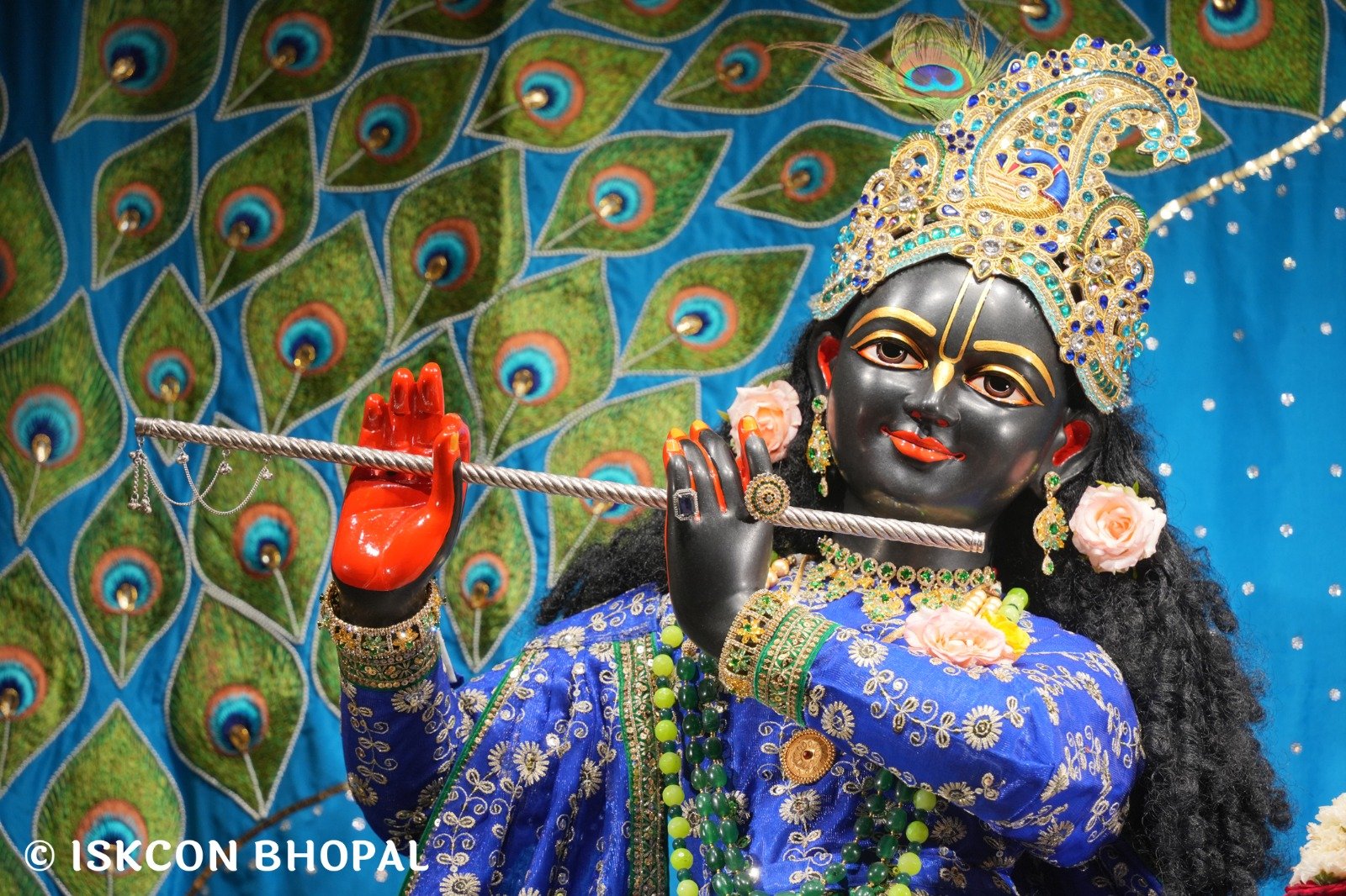 WhatsApp Image 2025-11-10 at 8.05.32 AM