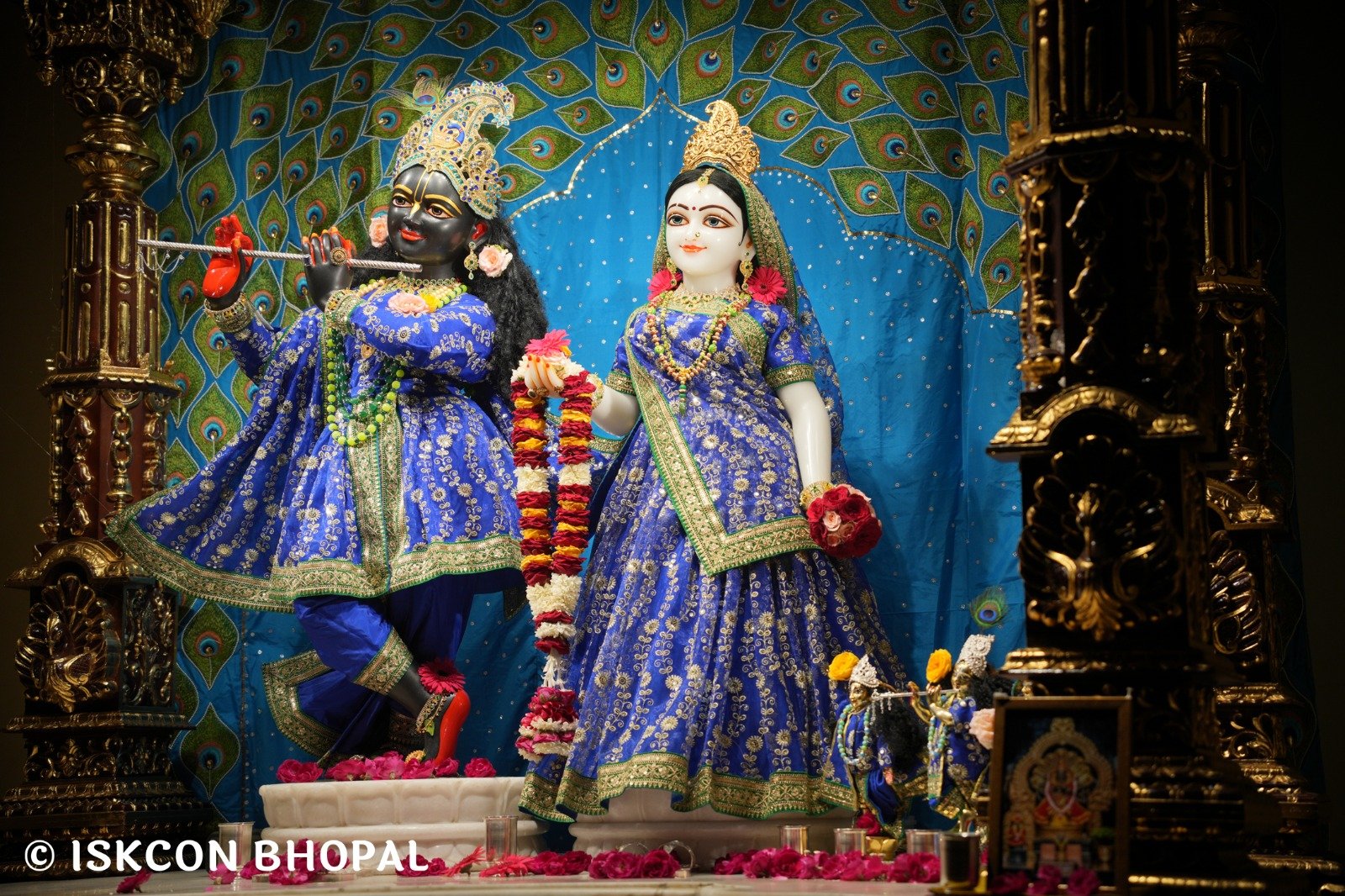 WhatsApp Image 2025-11-10 at 8.05.33 AM (4)