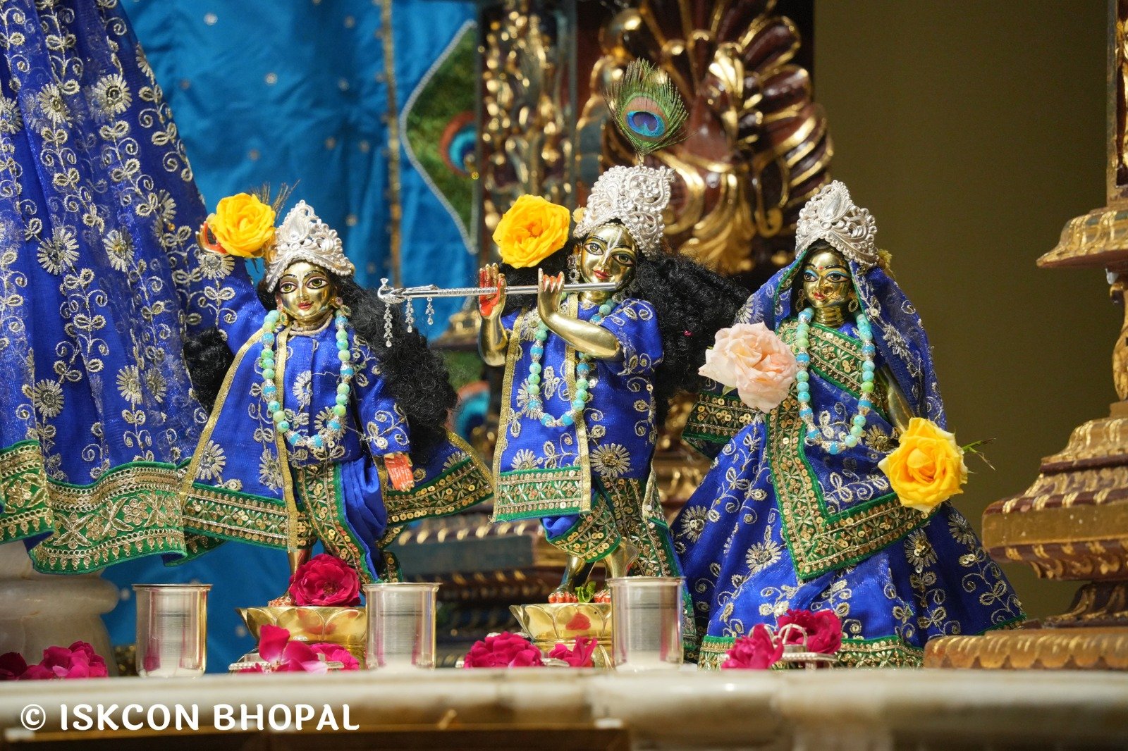 WhatsApp Image 2025-11-10 at 8.05.33 AM