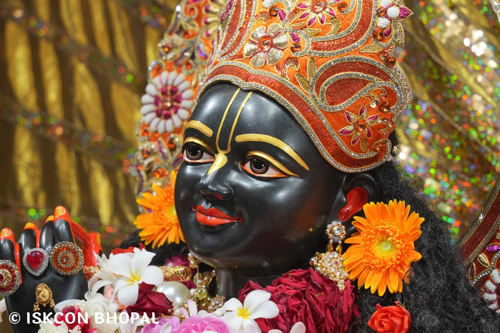 WhatsApp Image 2025-11-10 at 8.06.41 AM (1)