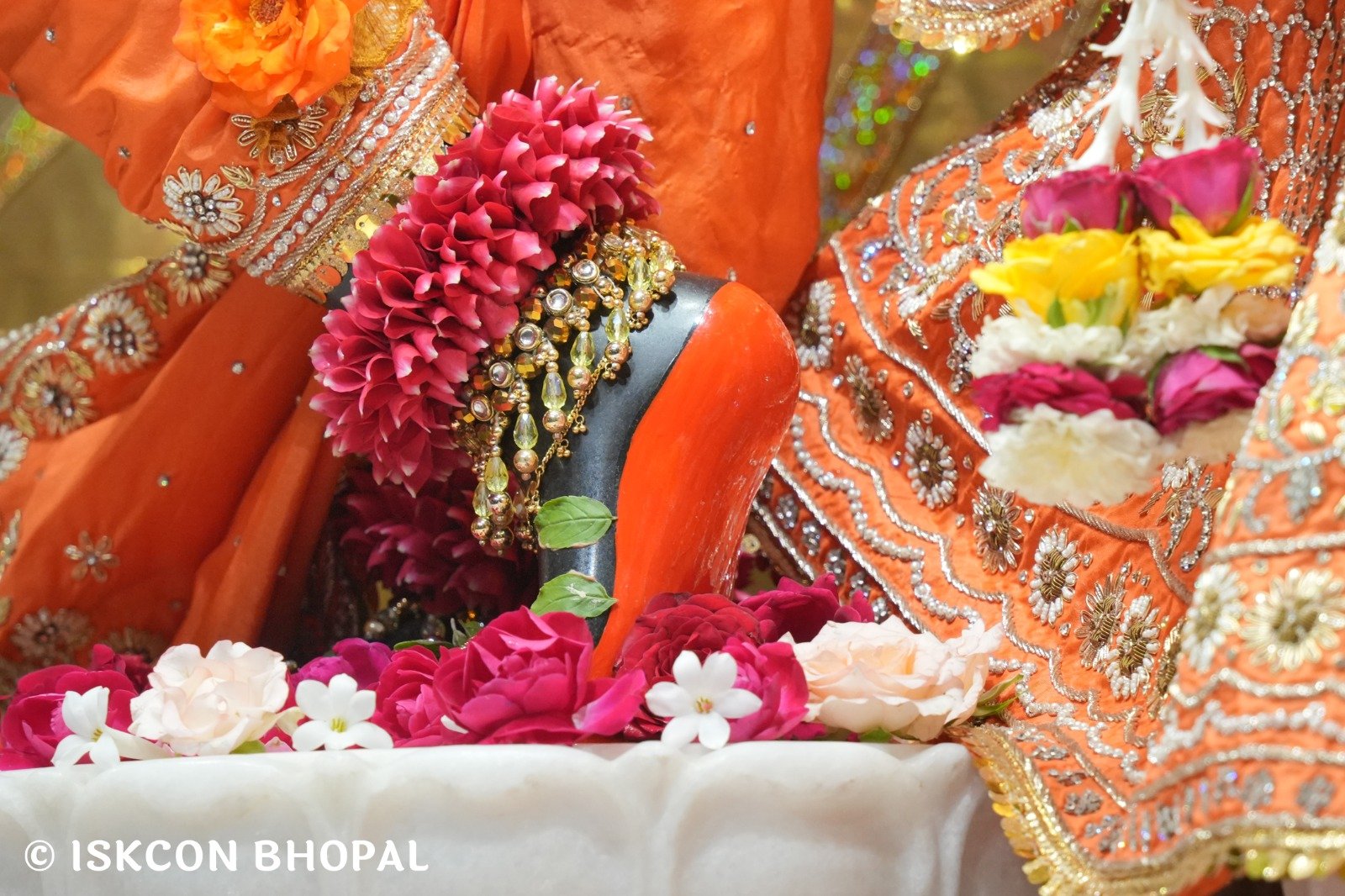 WhatsApp Image 2025-11-10 at 8.06.41 AM