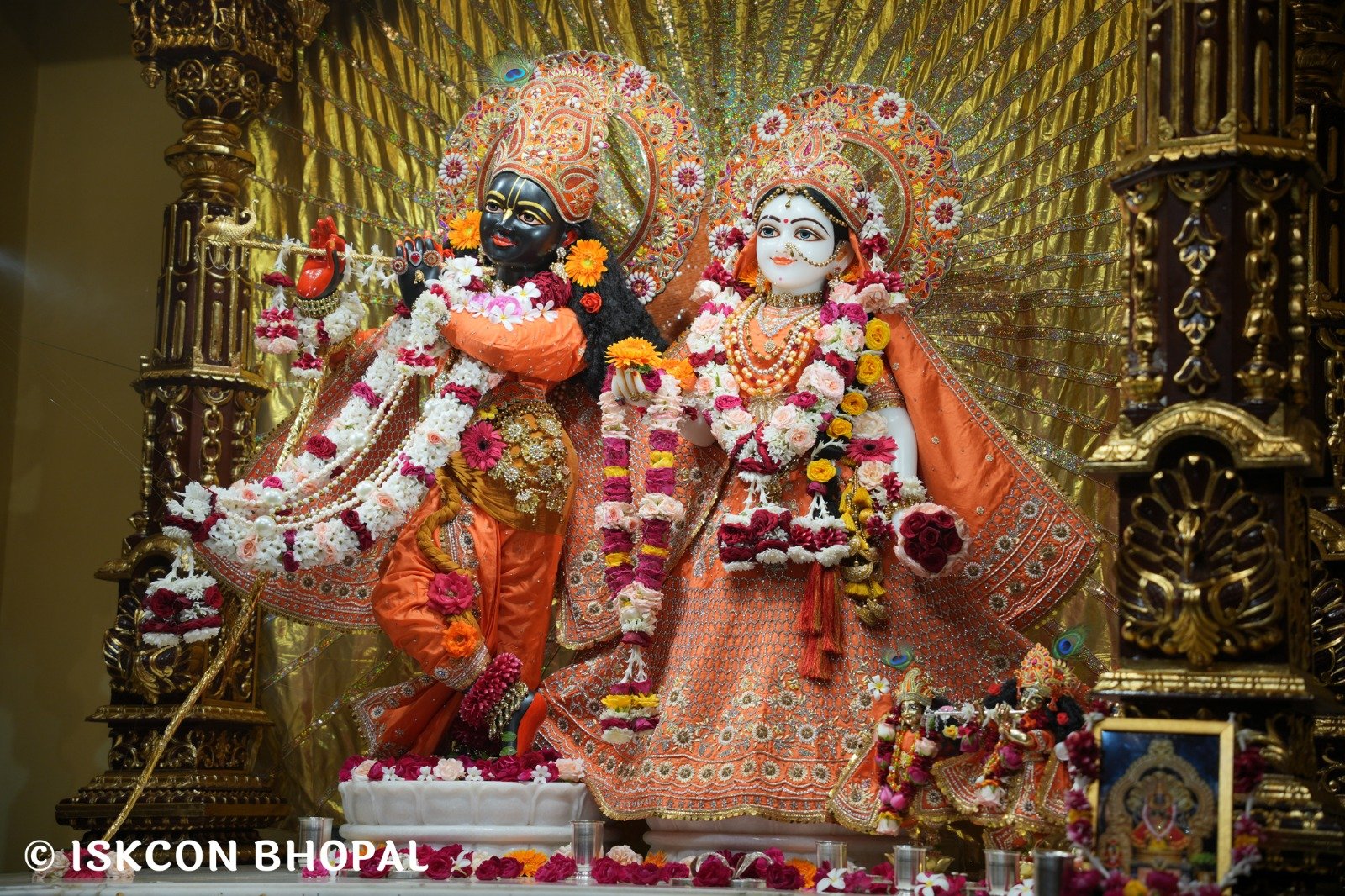 WhatsApp Image 2025-11-10 at 8.06.42 AM (2)