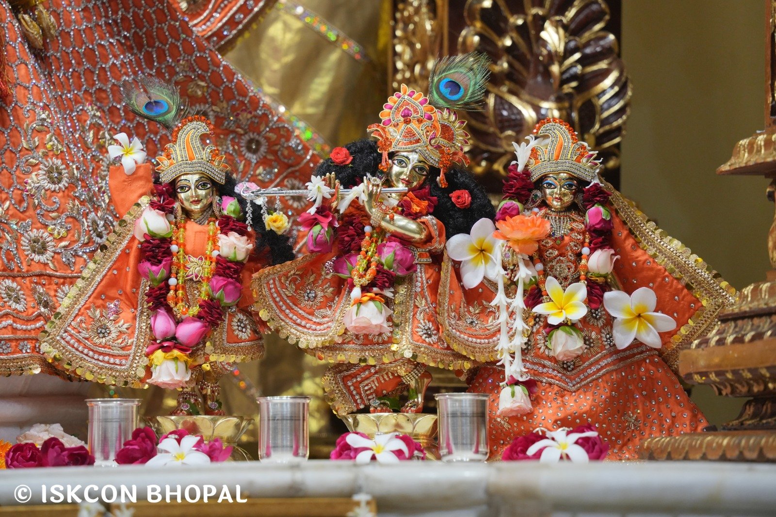 WhatsApp Image 2025-11-10 at 8.06.43 AM (3)