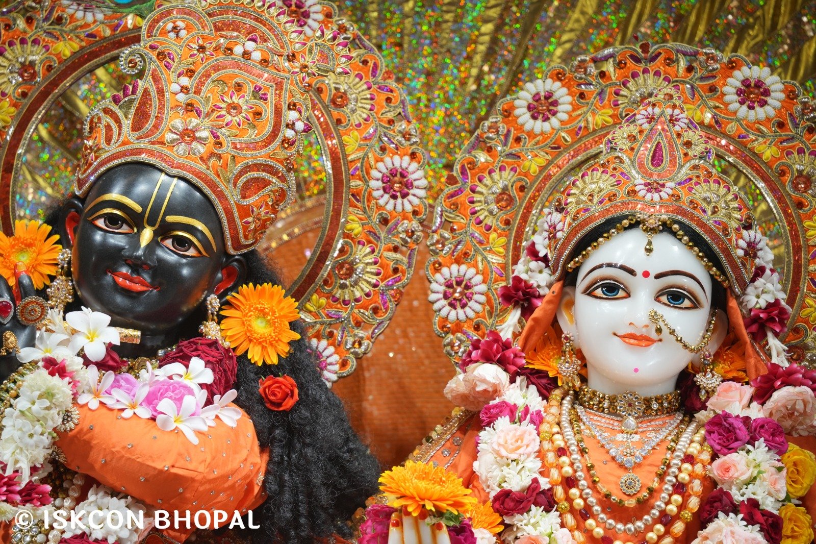 WhatsApp Image 2025-11-10 at 8.06.43 AM