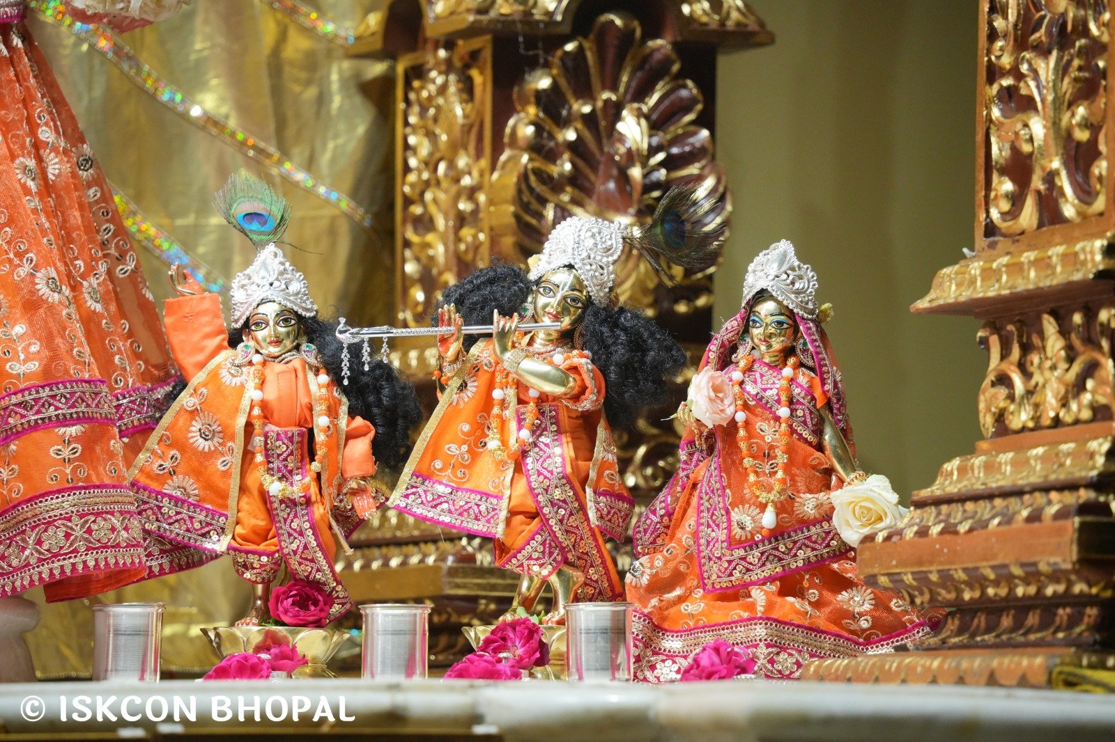 WhatsApp Image 2025-11-11 at 7.49.55 AM (1)