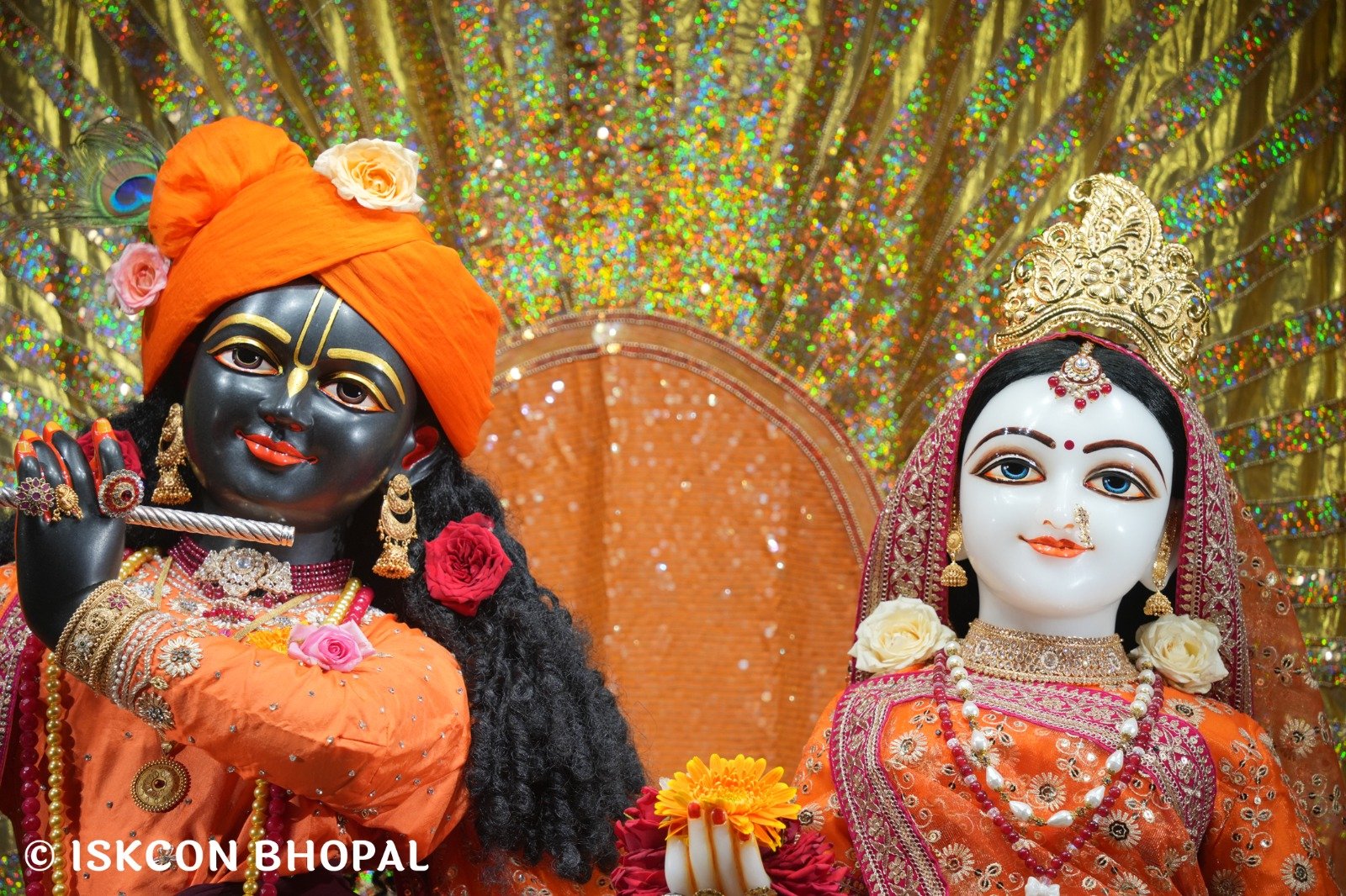 WhatsApp Image 2025-11-11 at 7.49.55 AM (3)