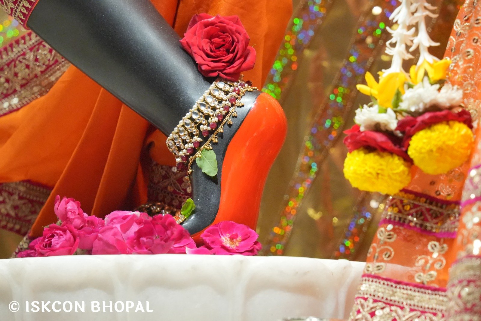 WhatsApp Image 2025-11-11 at 7.49.55 AM