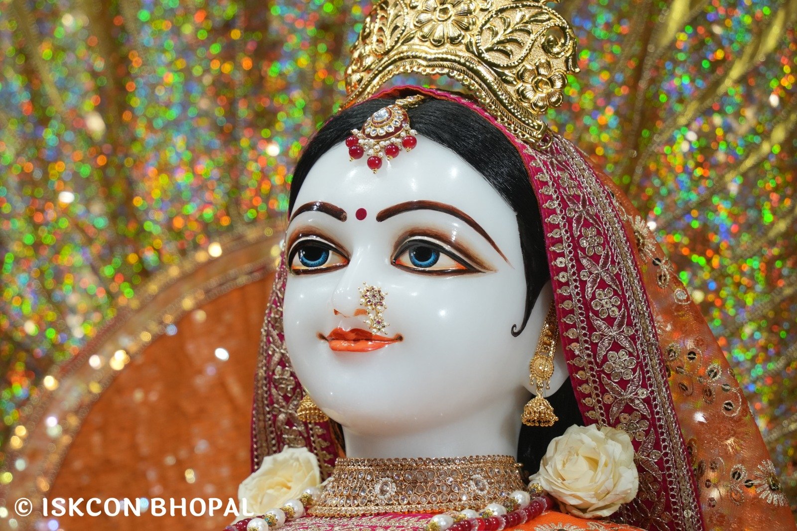 WhatsApp Image 2025-11-11 at 7.49.57 AM