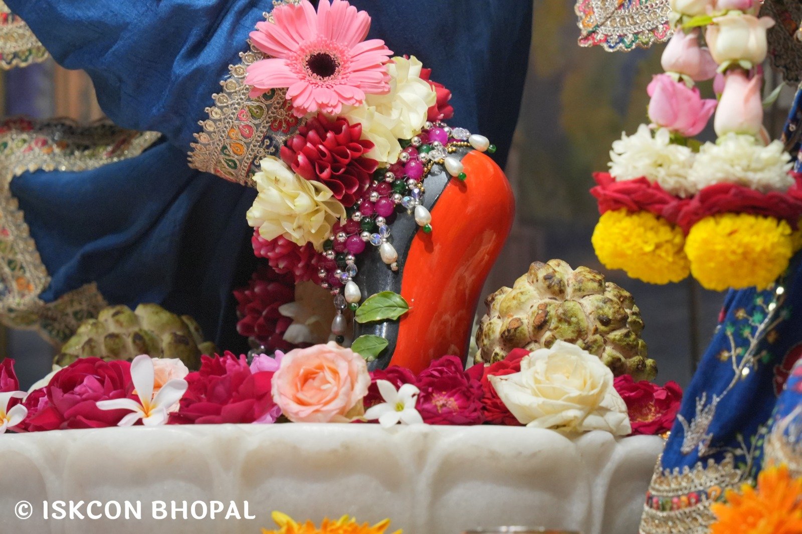 WhatsApp Image 2025-11-11 at 7.55.21 AM