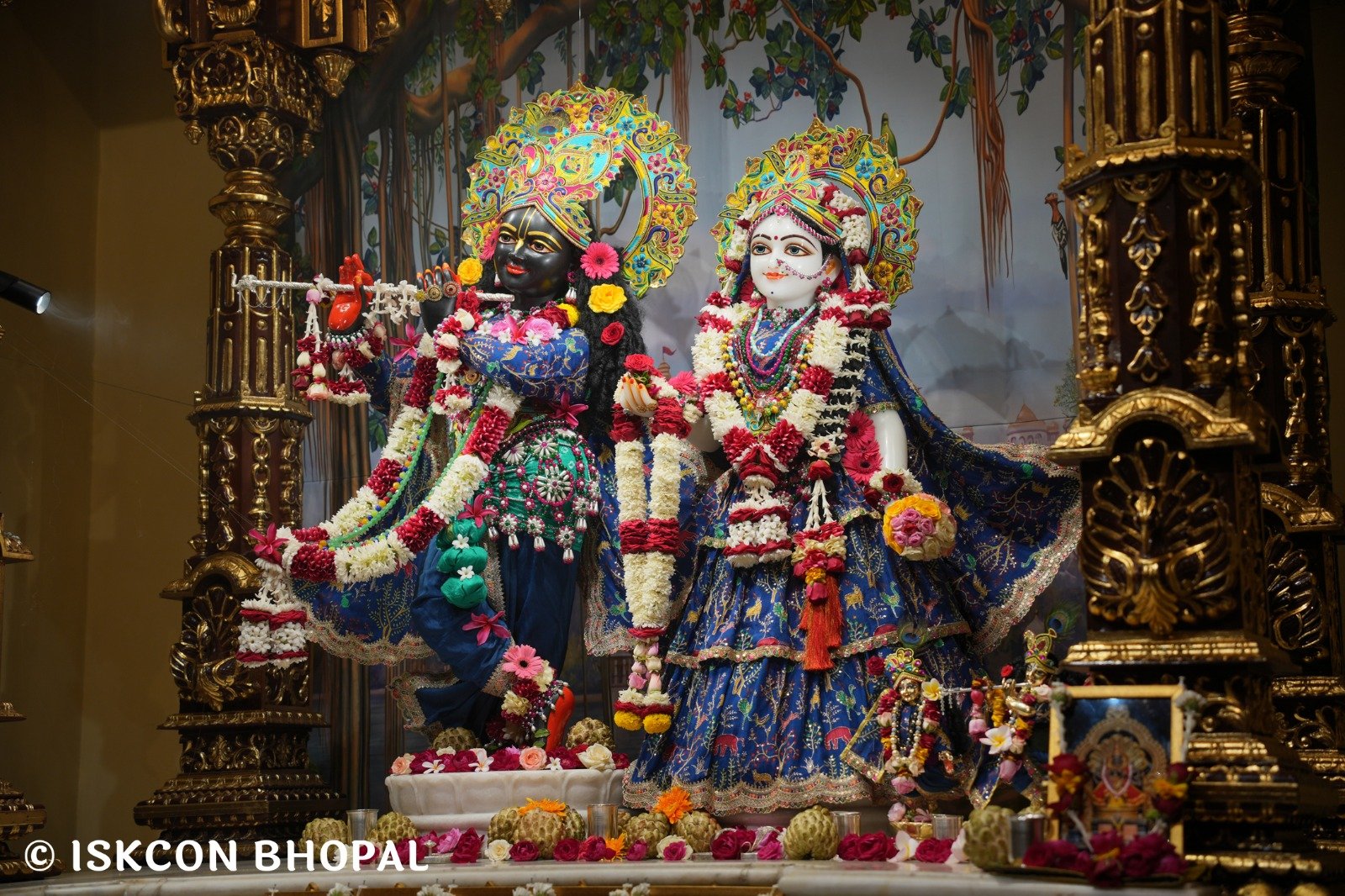 WhatsApp Image 2025-11-11 at 7.55.22 AM