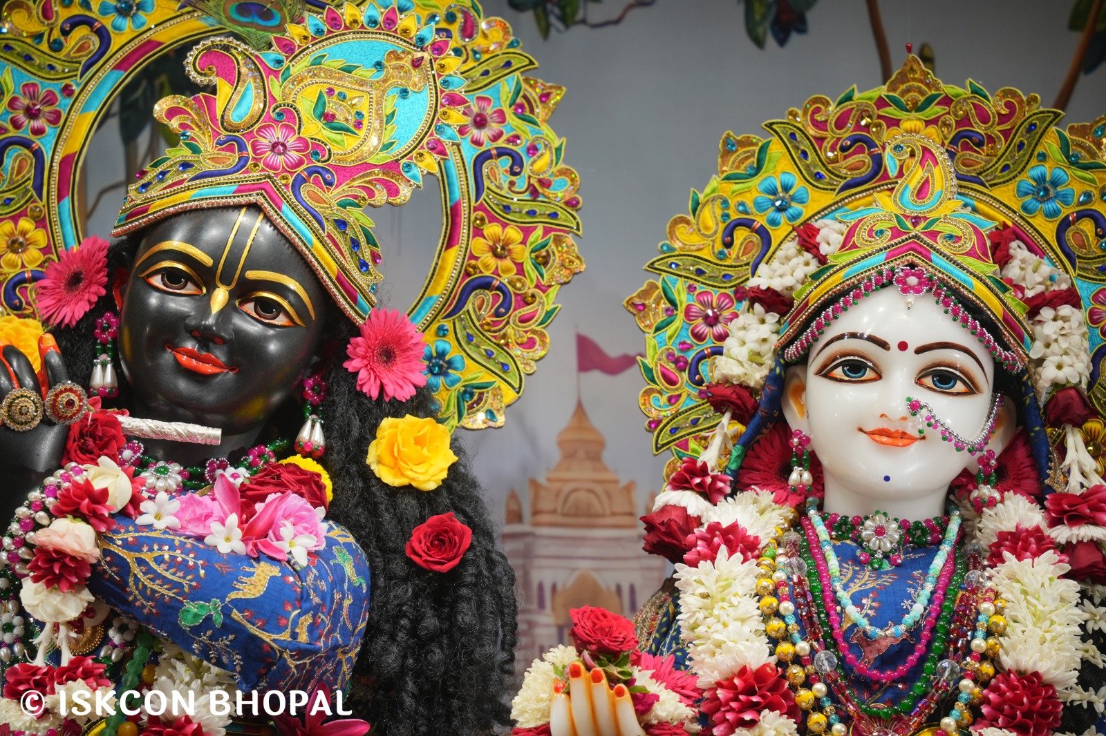 WhatsApp Image 2025-11-11 at 7.55.23 AM (1)