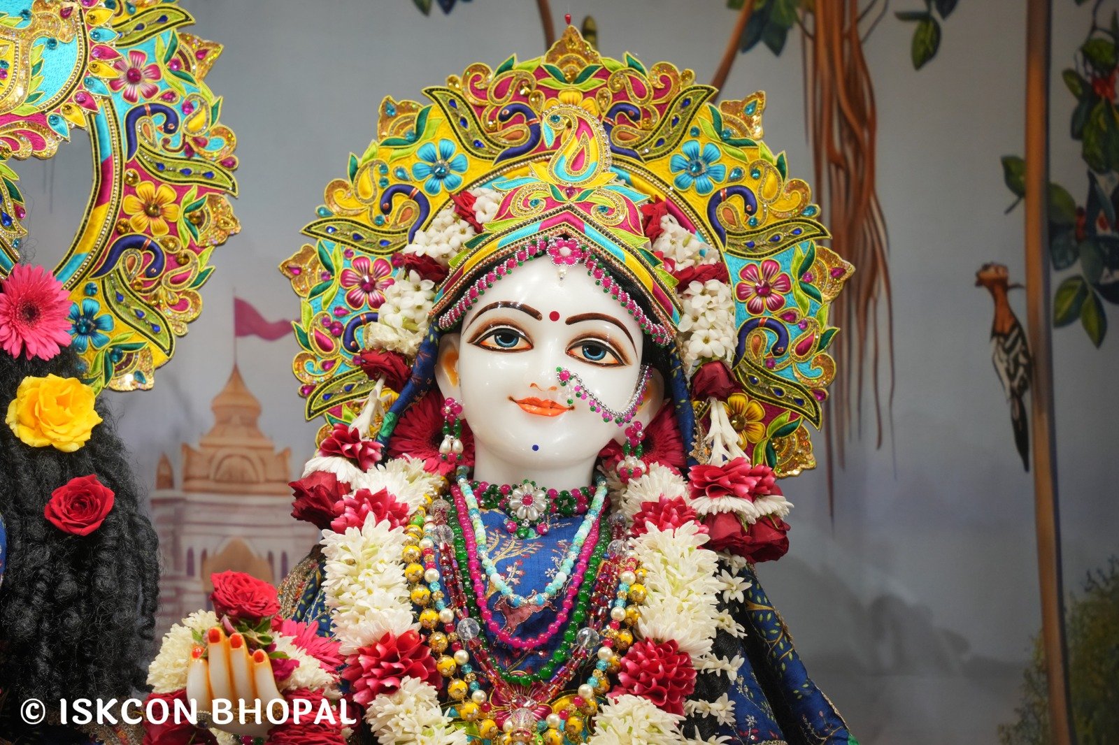 WhatsApp Image 2025-11-11 at 7.55.23 AM (2)