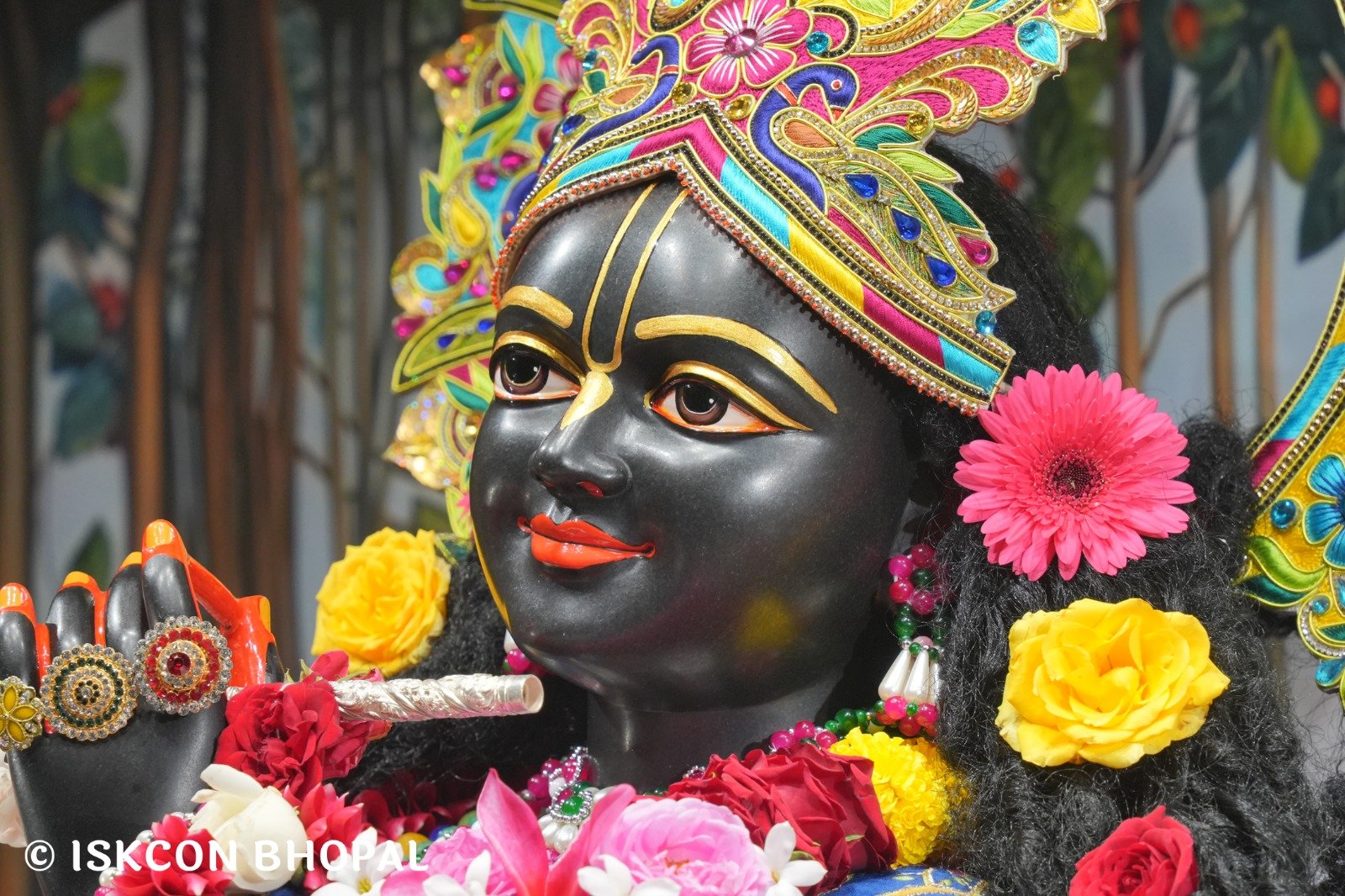 WhatsApp Image 2025-11-11 at 7.55.23 AM