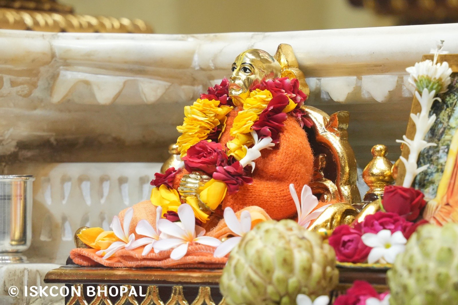 WhatsApp Image 2025-11-11 at 7.55.24 AM (1)