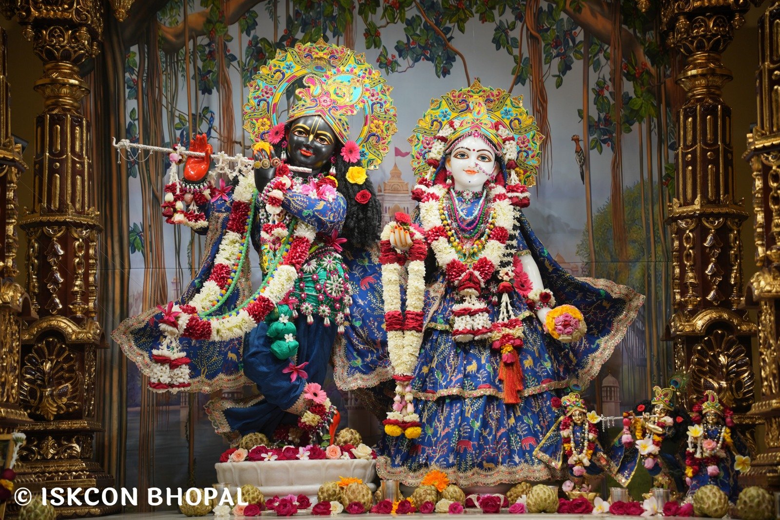 WhatsApp Image 2025-11-11 at 7.55.24 AM