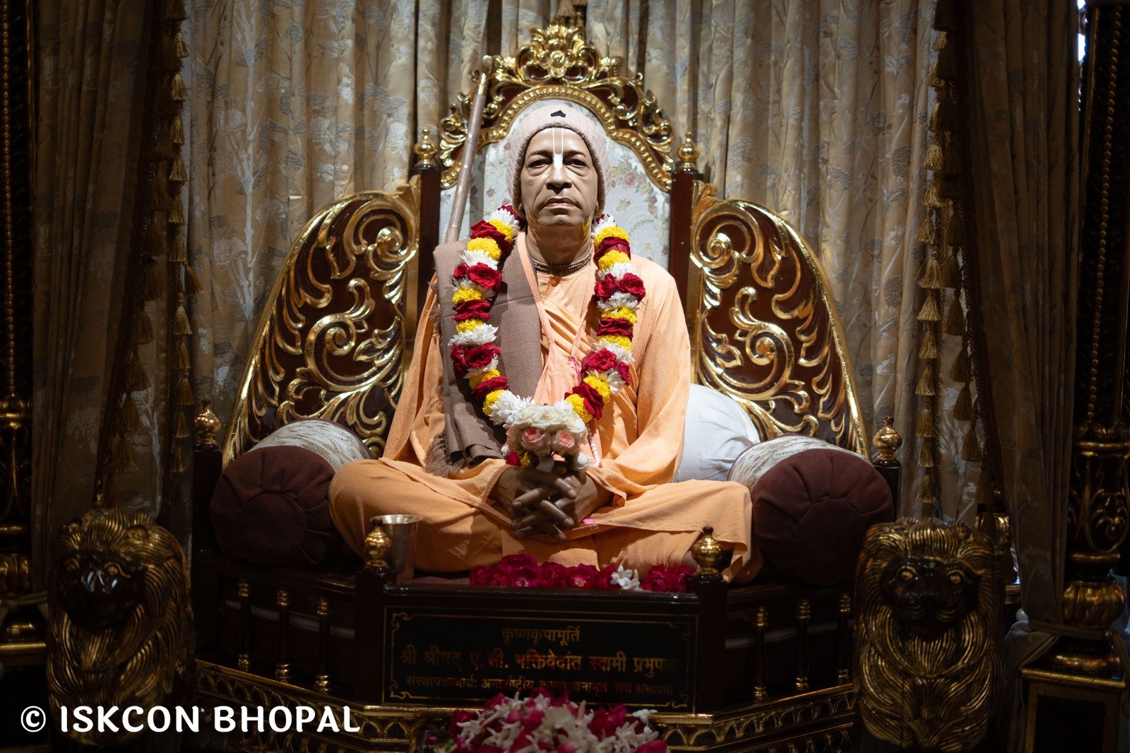 WhatsApp Image 2025-11-11 at 7.55.25 AM