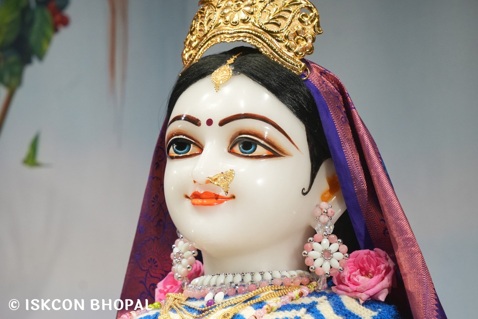 WhatsApp Image 2025-11-12 at 7.07.53 AM (3)