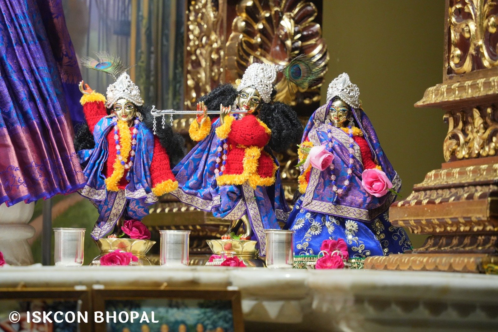 WhatsApp Image 2025-11-12 at 7.07.54 AM (1)