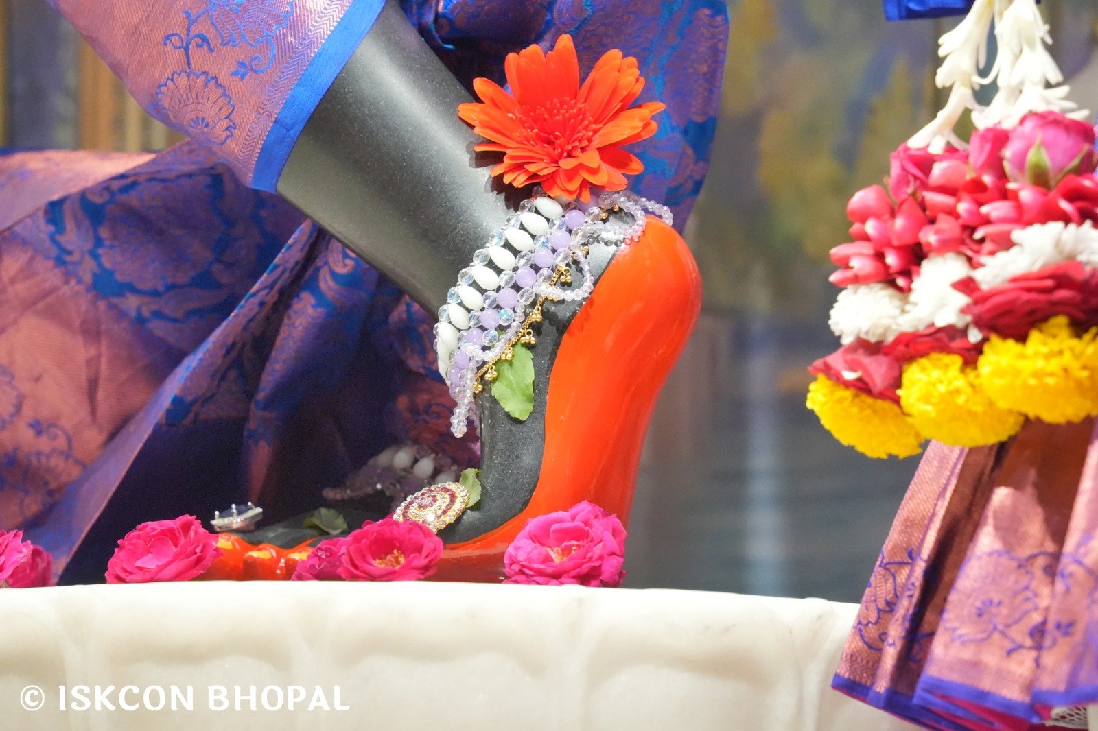 WhatsApp Image 2025-11-12 at 7.07.54 AM