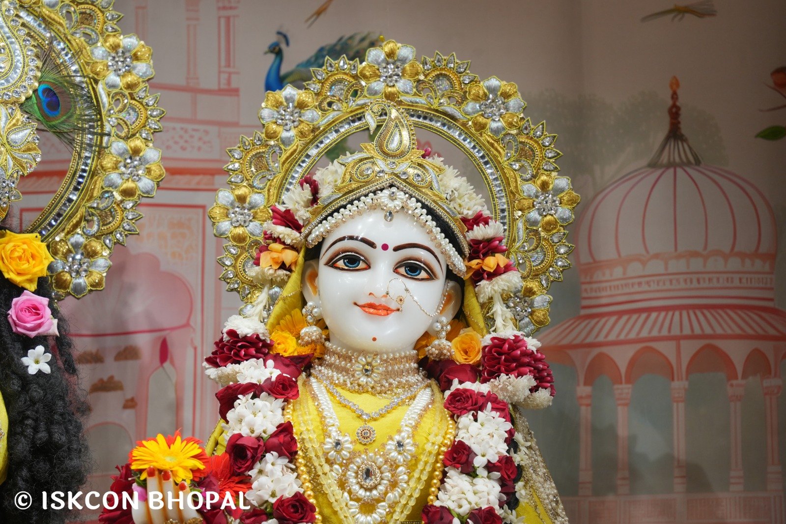 WhatsApp Image 2025-11-12 at 7.59.48 AM (1)