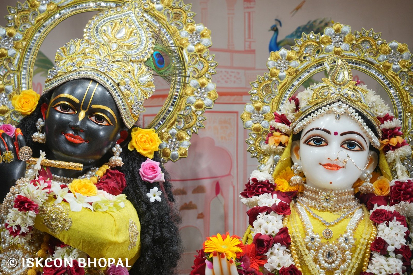 WhatsApp Image 2025-11-12 at 7.59.48 AM (2)