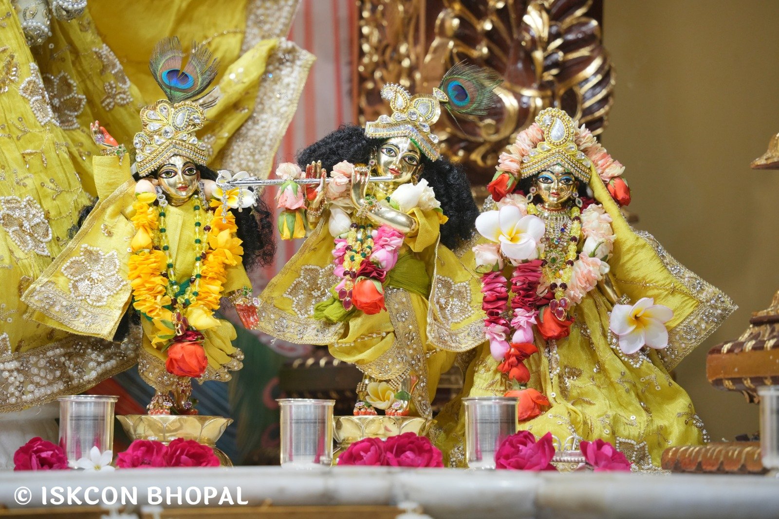 WhatsApp Image 2025-11-12 at 7.59.48 AM