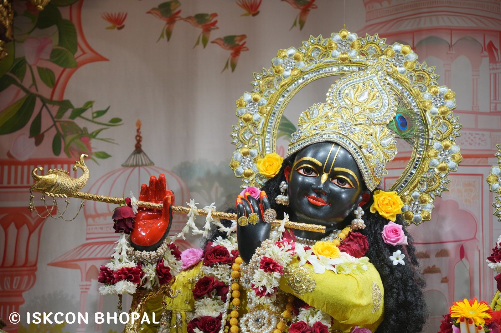 WhatsApp Image 2025-11-12 at 7.59.49 AM