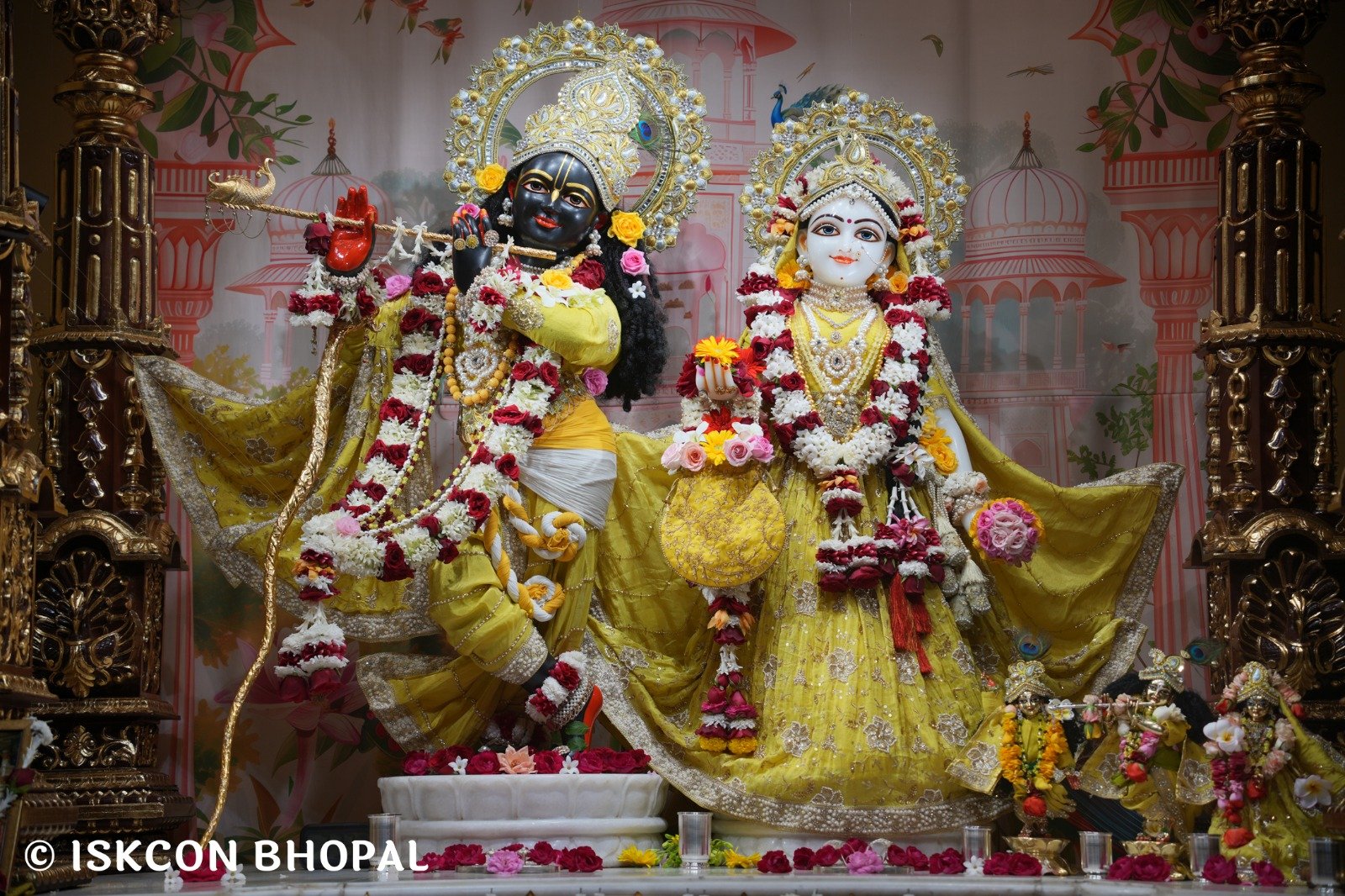 WhatsApp Image 2025-11-12 at 7.59.50 AM