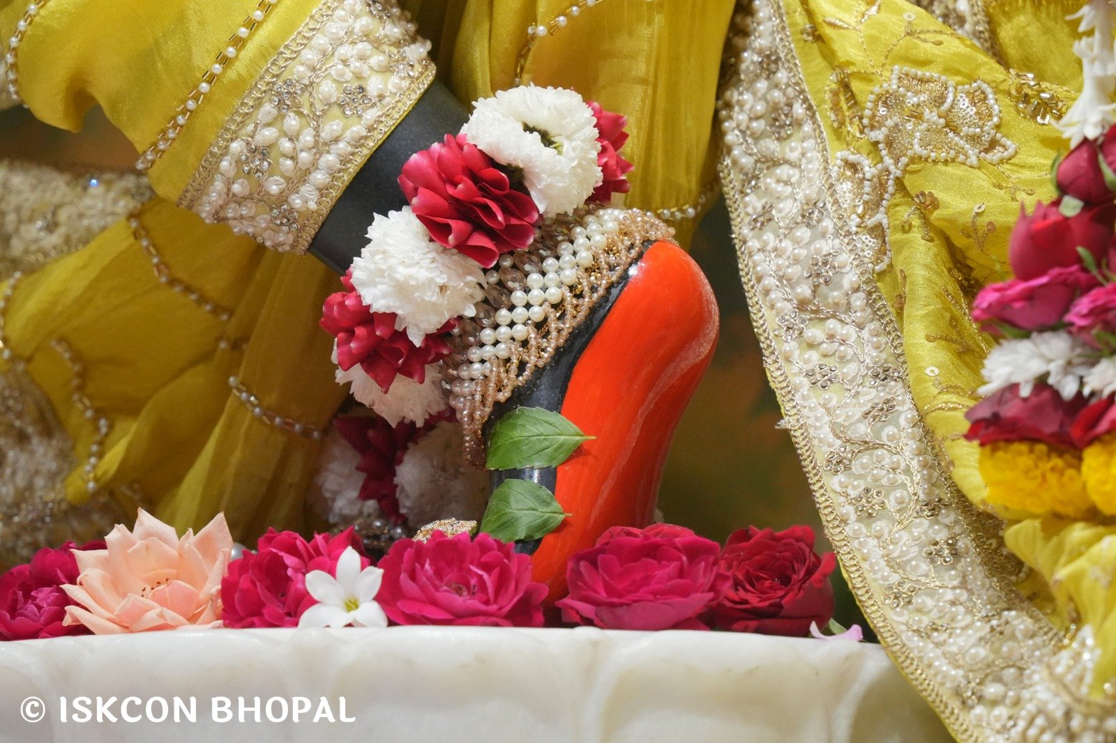 WhatsApp Image 2025-11-12 at 7.59.51 AM