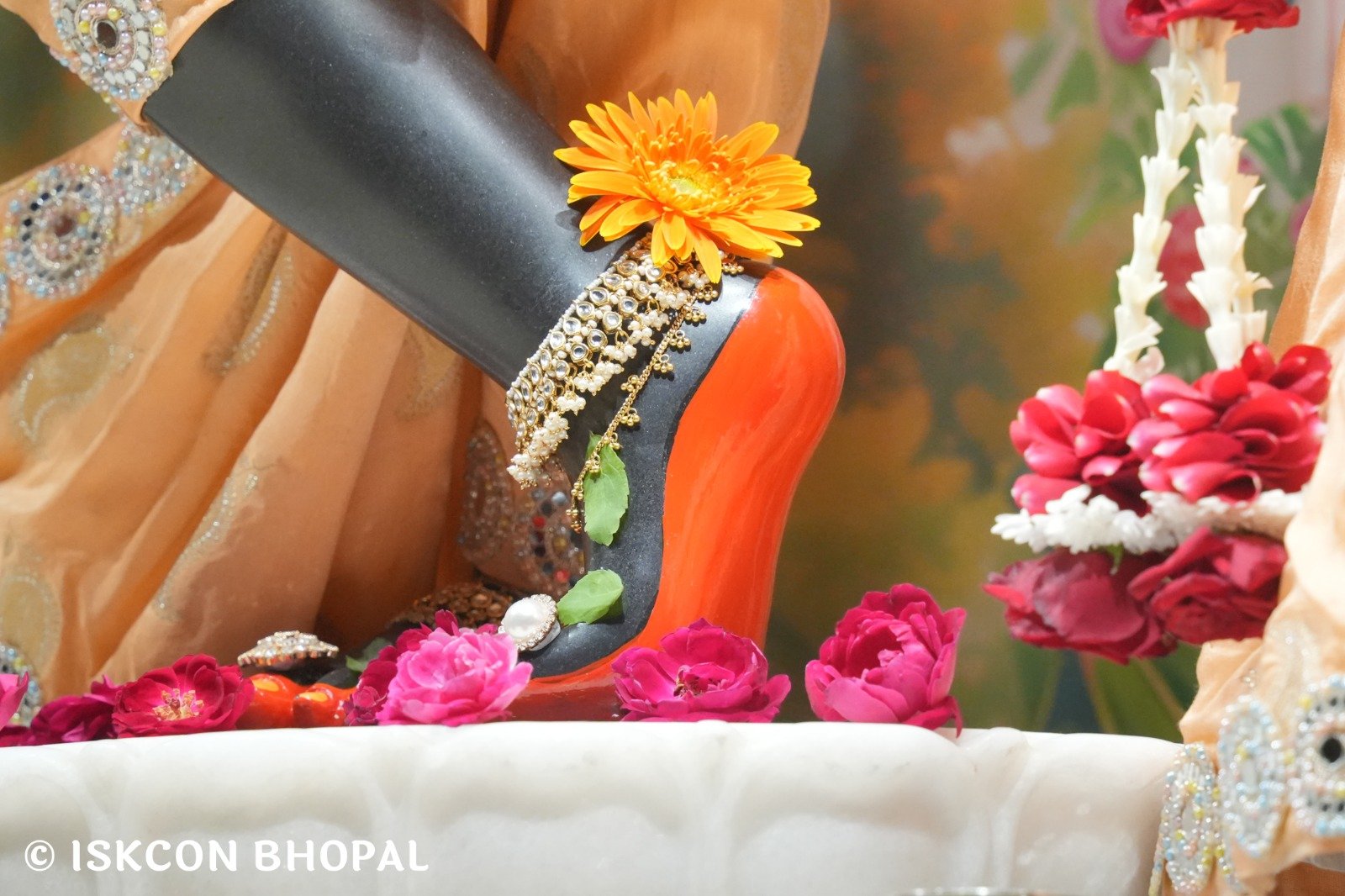 WhatsApp Image 2025-11-13 at 7.13.26 AM