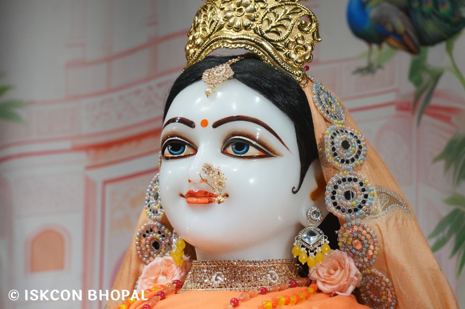 WhatsApp Image 2025-11-13 at 7.13.27 AM (1)