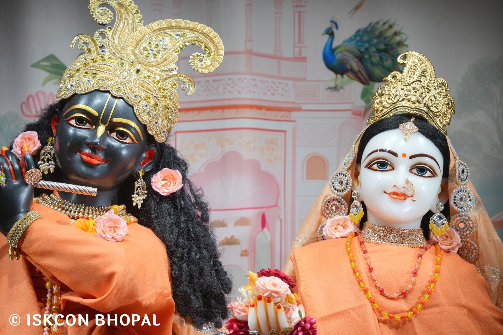 WhatsApp Image 2025-11-13 at 7.13.27 AM (2)