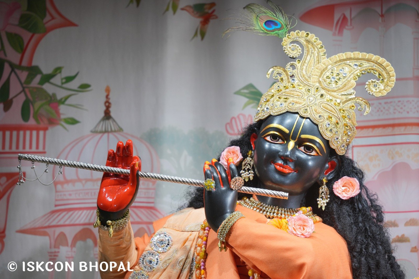 WhatsApp Image 2025-11-13 at 7.13.27 AM