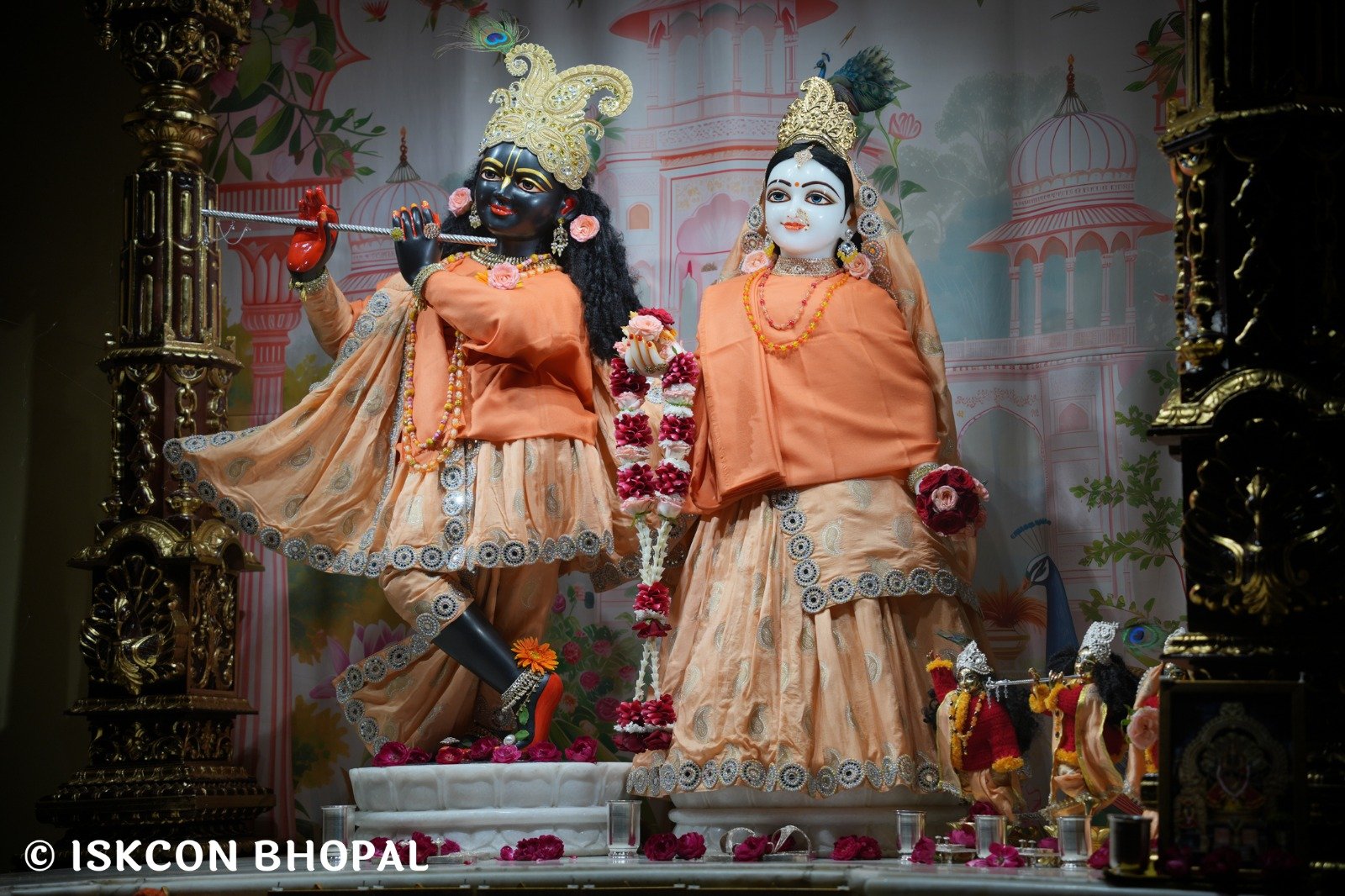 WhatsApp Image 2025-11-13 at 7.13.27 AM