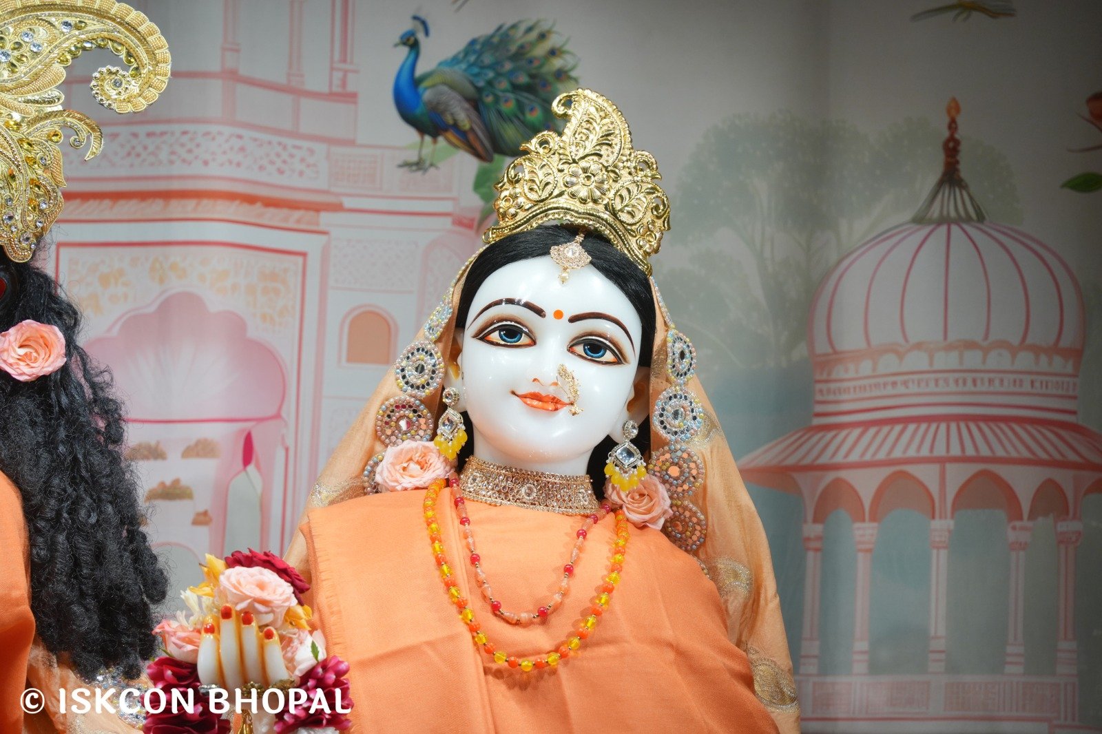 WhatsApp Image 2025-11-13 at 7.13.28 AM (1)