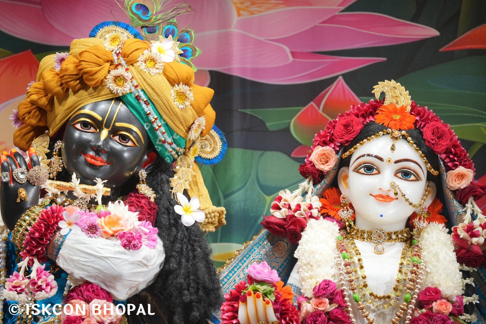 WhatsApp Image 2025-11-13 at 7.53.23 AM (1)