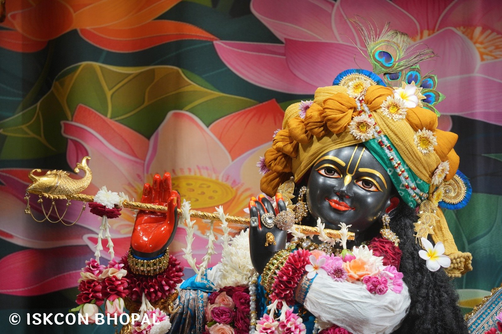 WhatsApp Image 2025-11-13 at 7.53.23 AM (2)