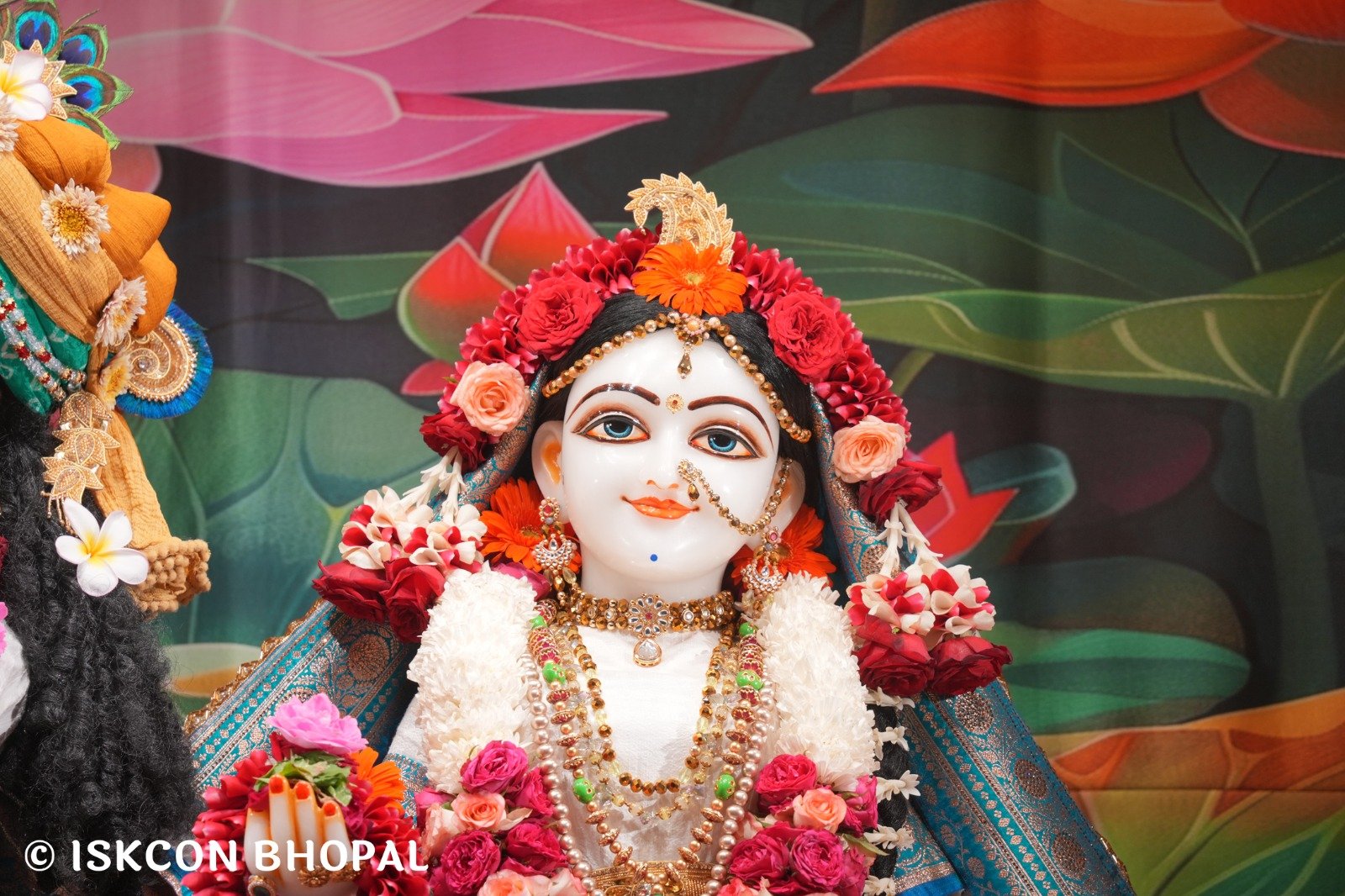 WhatsApp Image 2025-11-13 at 7.53.23 AM