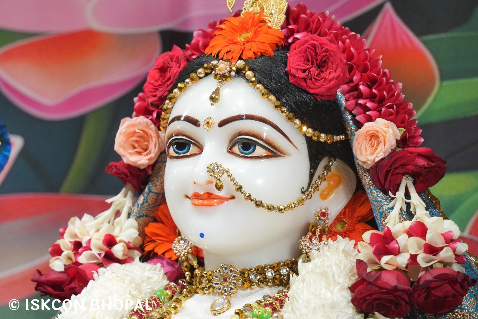 WhatsApp Image 2025-11-13 at 7.53.24 AM (2)