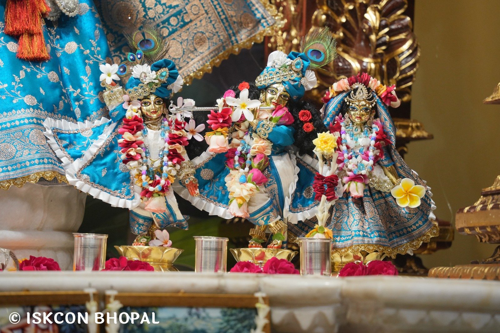 WhatsApp Image 2025-11-13 at 7.53.24 AM (4)