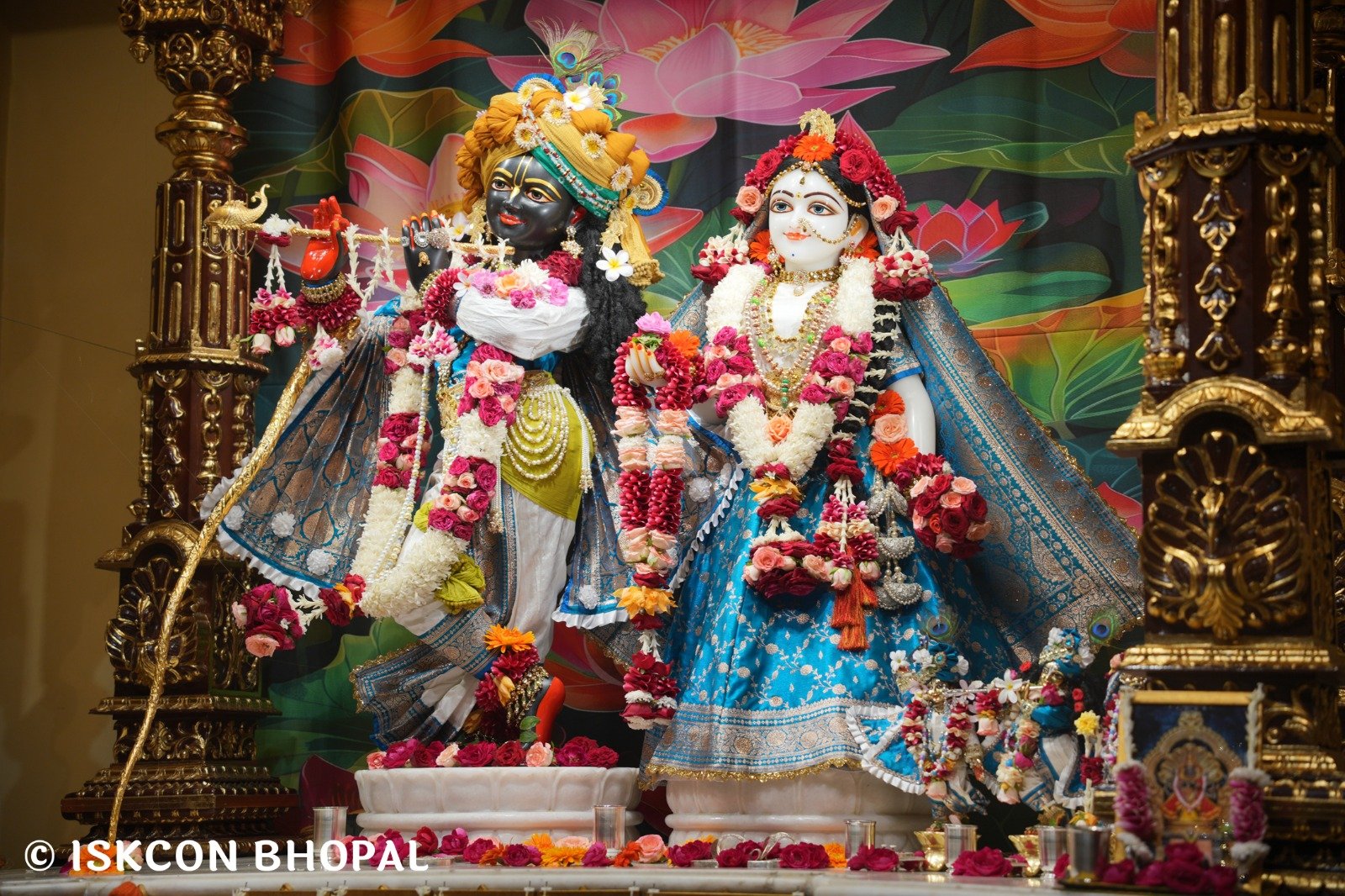 WhatsApp Image 2025-11-13 at 7.53.25 AM