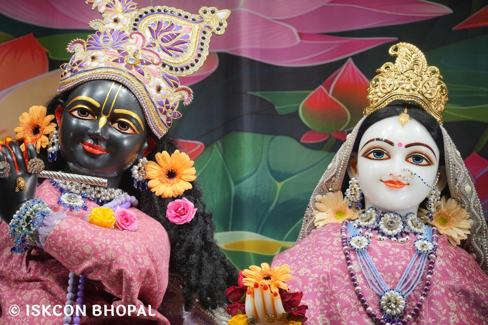 WhatsApp Image 2025-11-14 at 7.04.29 AM (1)