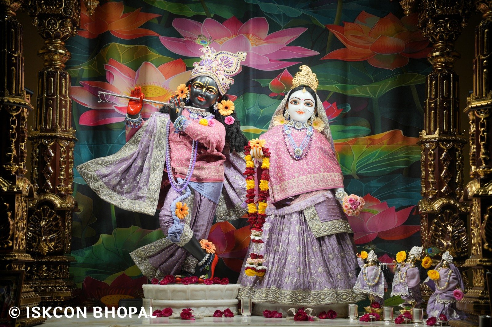 WhatsApp Image 2025-11-14 at 7.04.29 AM