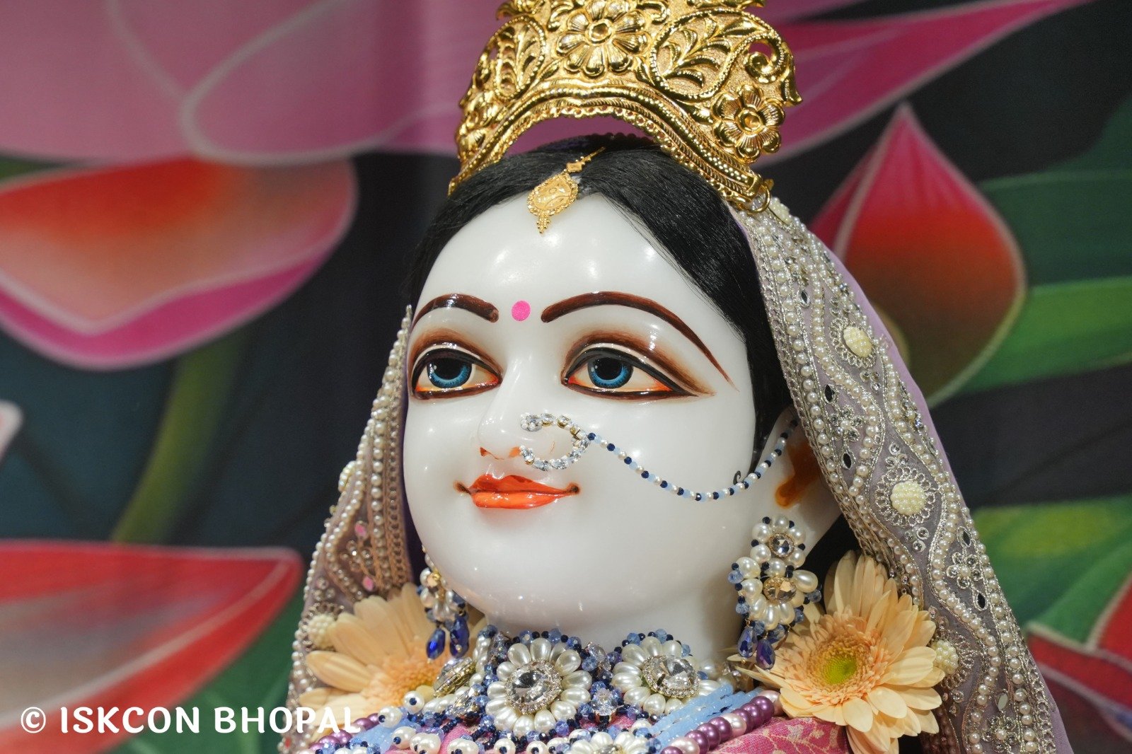 WhatsApp Image 2025-11-14 at 7.04.31 AM (2)