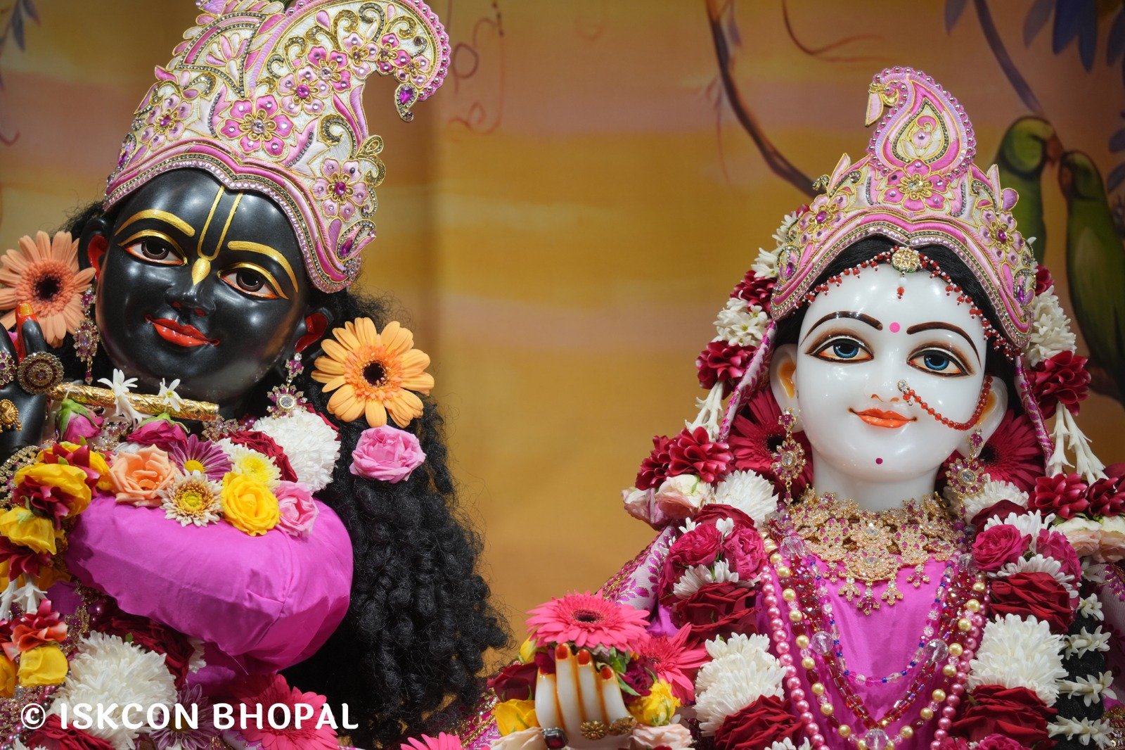 WhatsApp Image 2025-11-14 at 7.47.26 AM