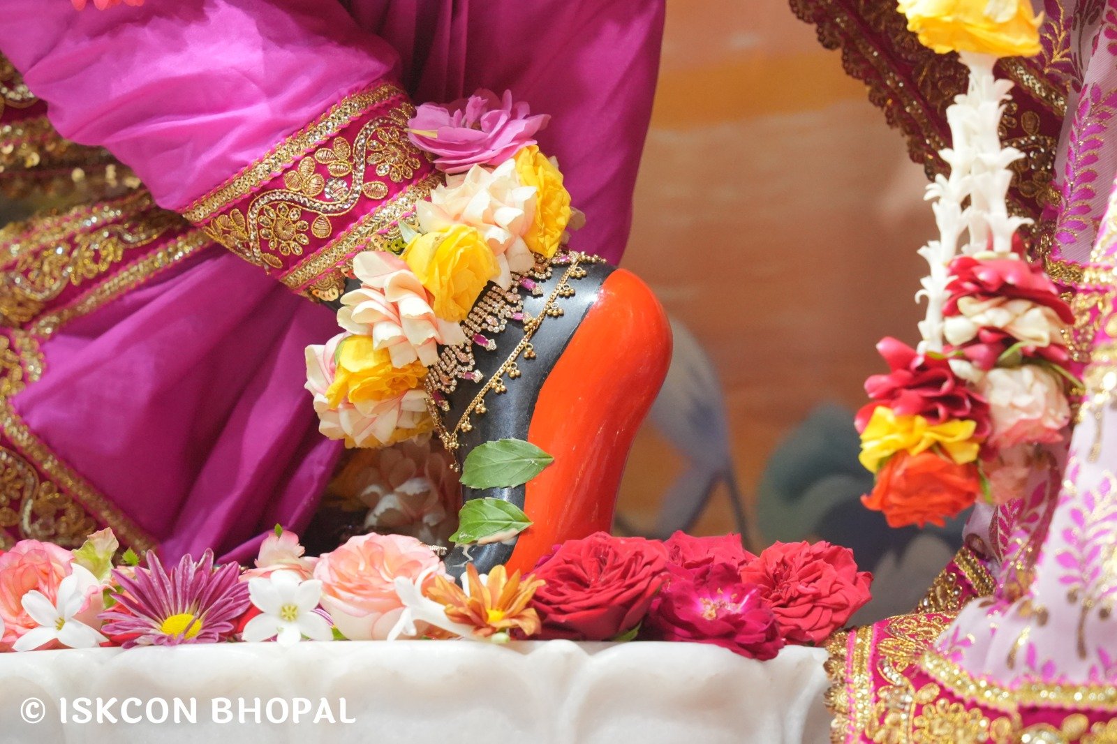 WhatsApp Image 2025-11-14 at 7.47.27 AM (1)