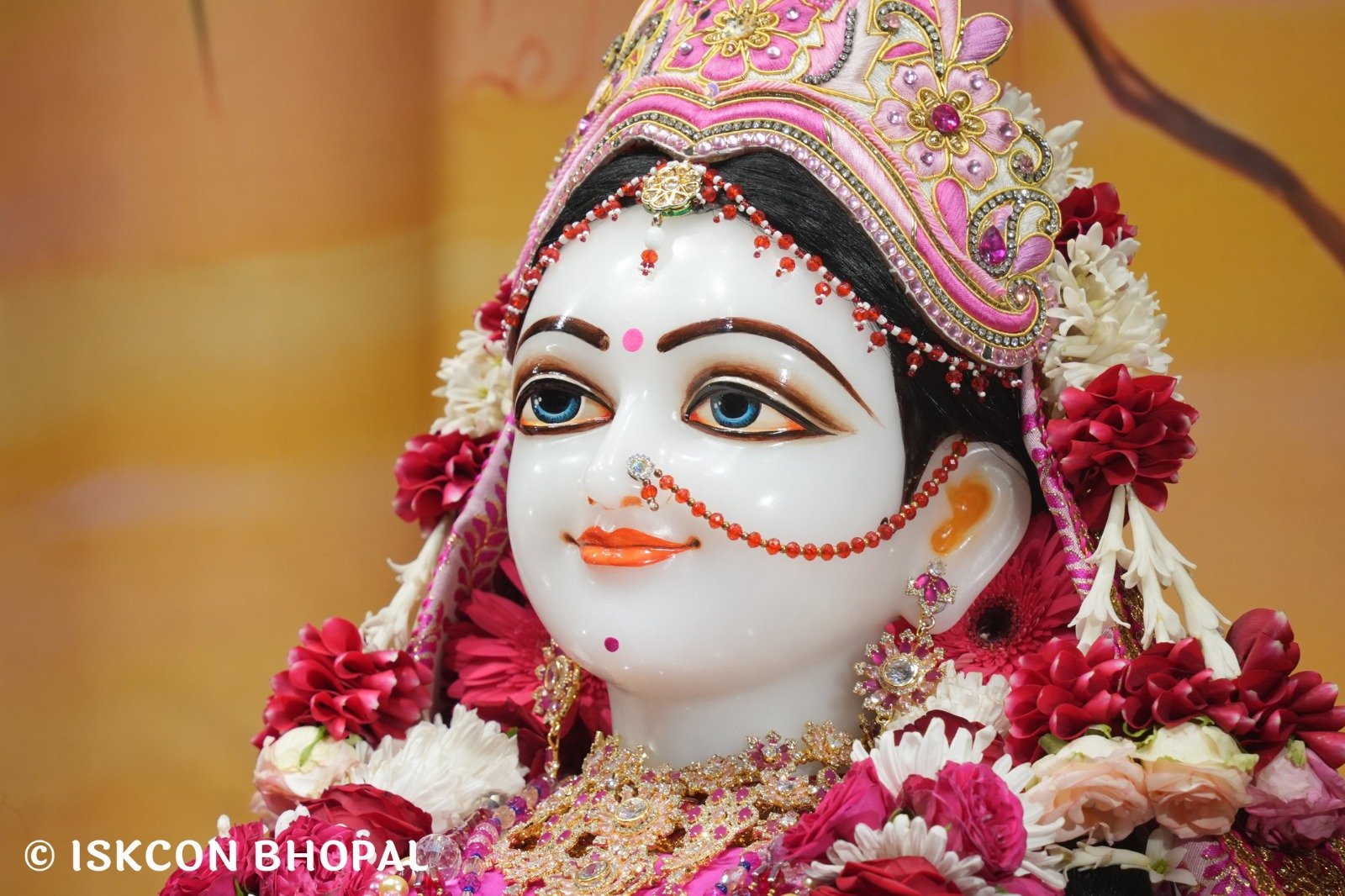 WhatsApp Image 2025-11-14 at 7.47.27 AM (2)