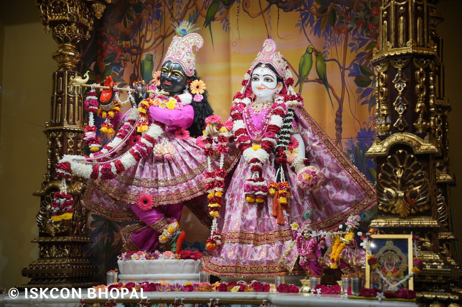 WhatsApp Image 2025-11-14 at 7.47.27 AM (5)