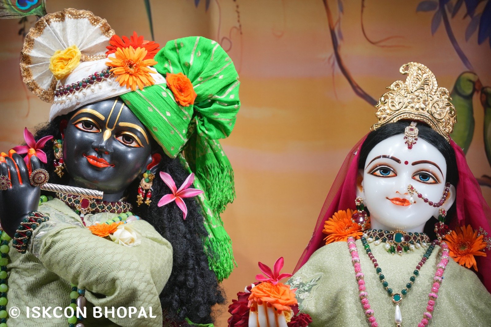 WhatsApp Image 2025-11-15 at 7.09.36 AM