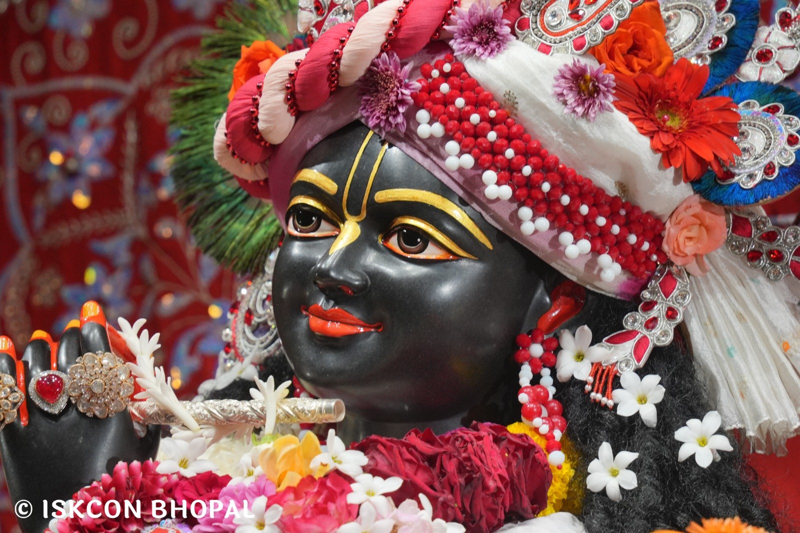 WhatsApp Image 2025-11-15 at 7.58.23 AM